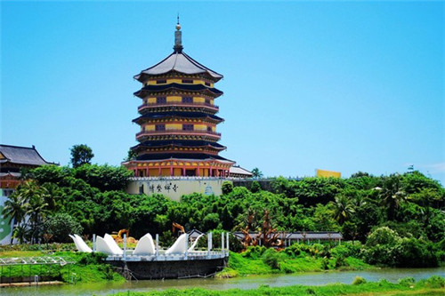 TOMOS土木水茶饮