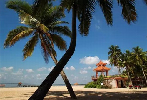 胡凤楼中式糕点