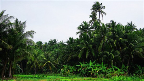 葫芦岛市的新中昌汽车加盟商多吗，葫芦岛市开汽车美容店有什么优势