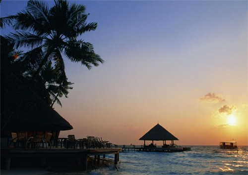 加盟猫笼连锁店大概需要多少钱，猫咪加盟店