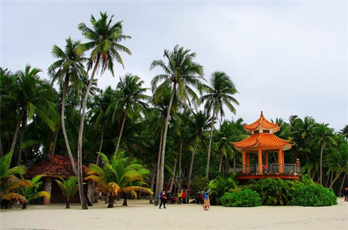 新手适不适合加盟翰林石锅鱼，翰林石锅鱼加盟收益怎么样