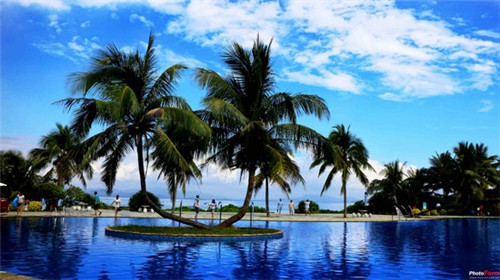 在中山市加盟红枫寨瓦香鸡什么位置好